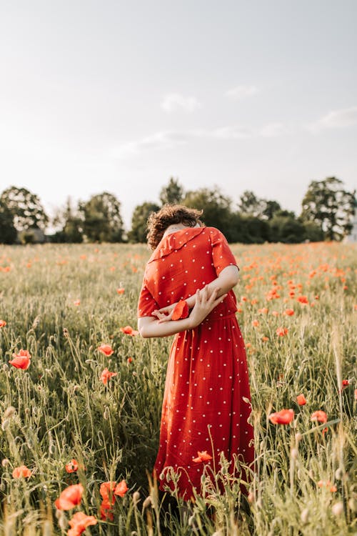 Gratis stockfoto met bloeiende bloemen, bloemenveld, bomen