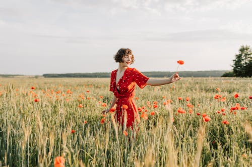 Woman Wearing Red Dress Holding a Flower