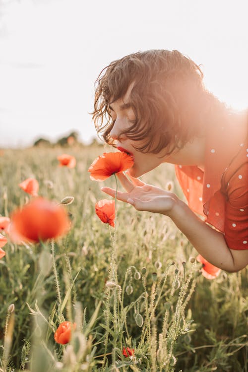 Brunette in Field Touching Poppy