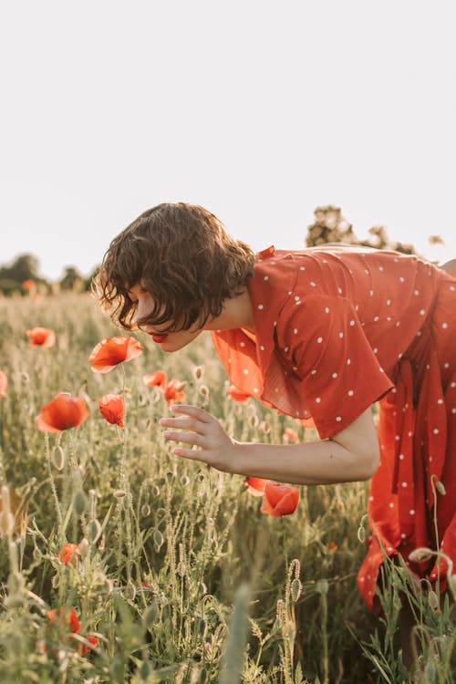 Free Photo of Woman Smelling a Poppy Flower Stock Photo