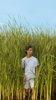 蓝天下，一名头戴帽子、身着白色休闲装的男子站在芦苇田里