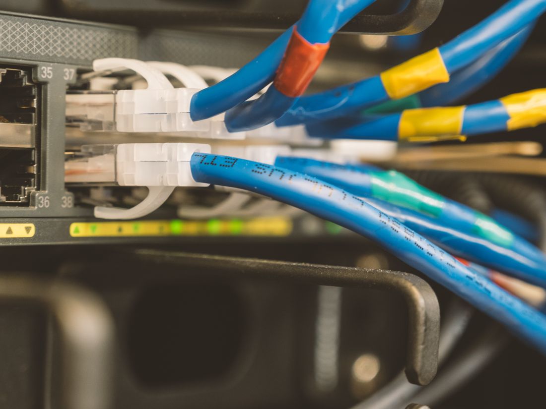 Blue ethernet cables with RJ45 connectors plugged into a network switch