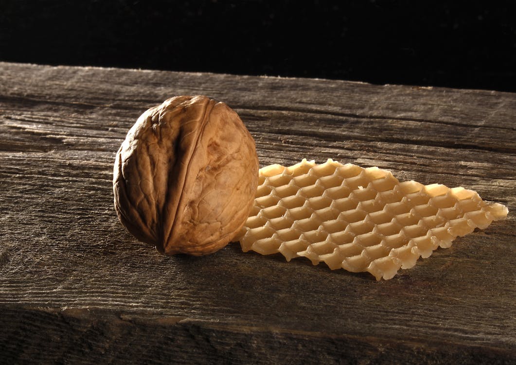 Free Brown Walnut on Brown Wooden Surface Stock Photo