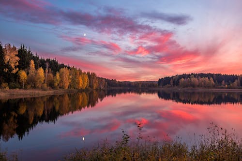 Scenery of Placid Lake under Pink Sky