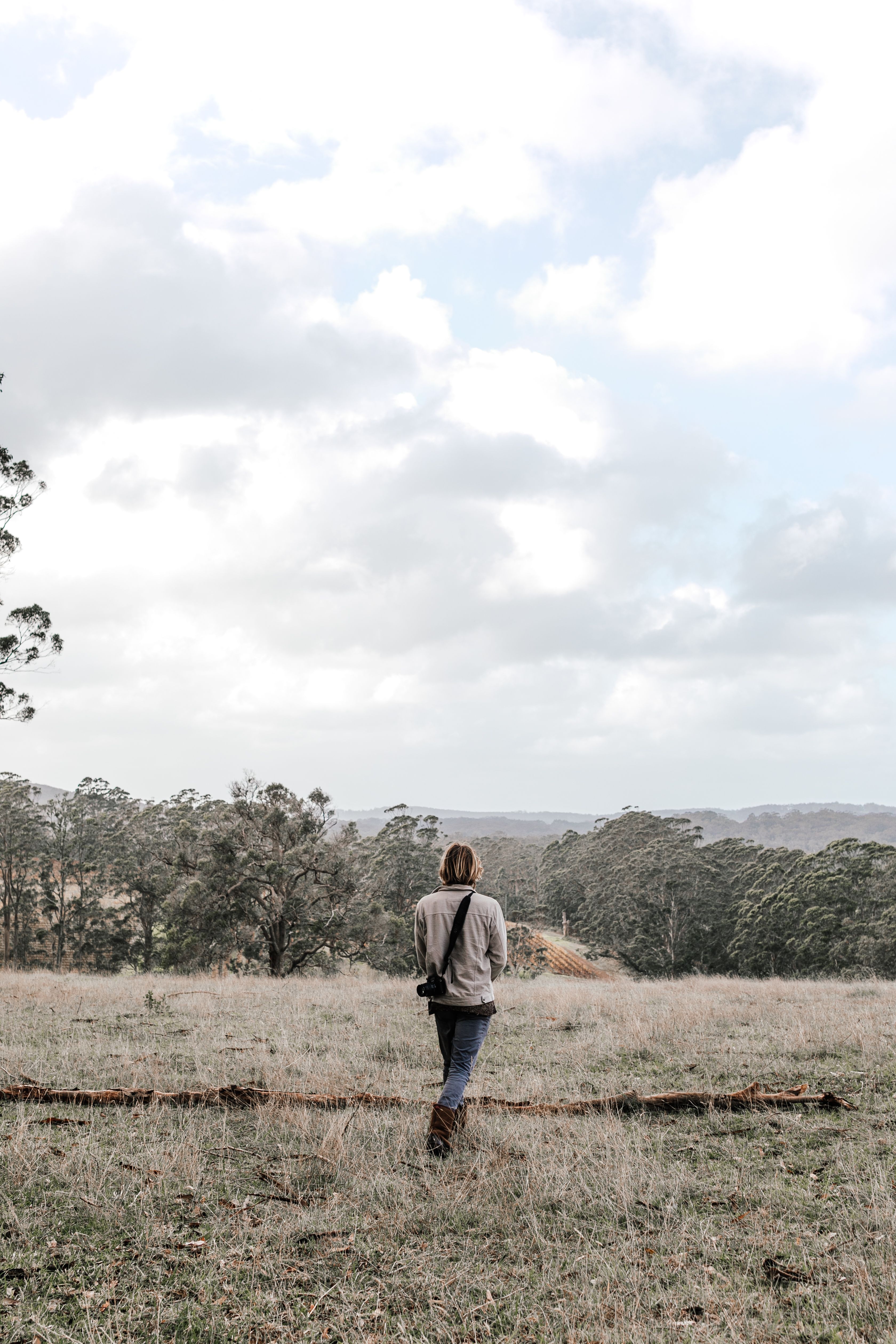 Back View of a Person Standing on Grass Field · Free Stock Photo