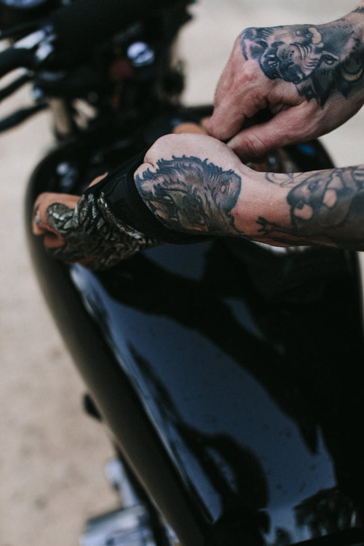 Tattooed Person Putting Gloves 