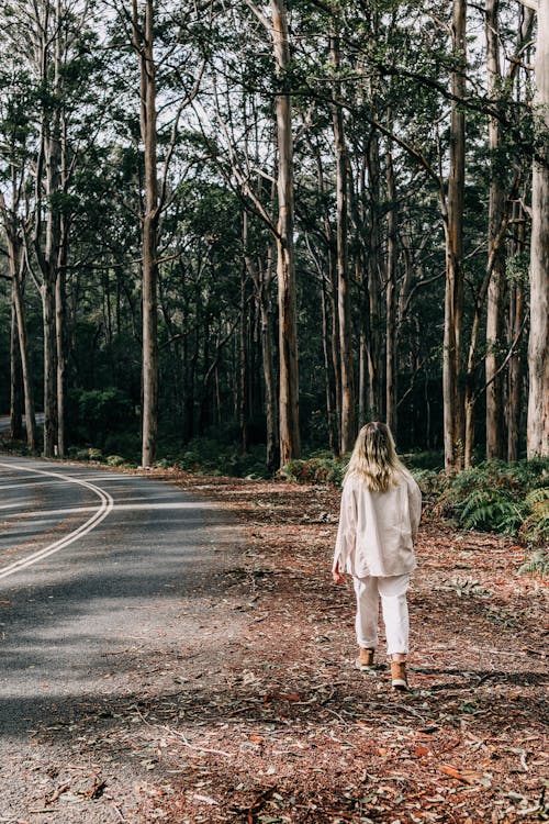 Gratis stockfoto met bladeren, bomen, boranup