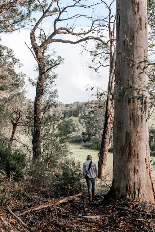 Man in Jacket Walking Near Trees