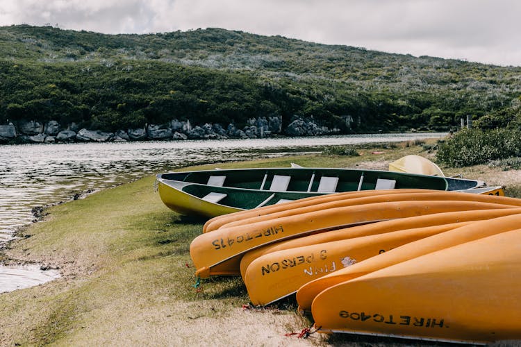 Orange Kayaks On Seashore