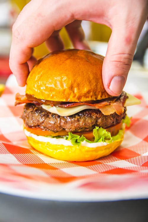 Hand Holding the Burger 