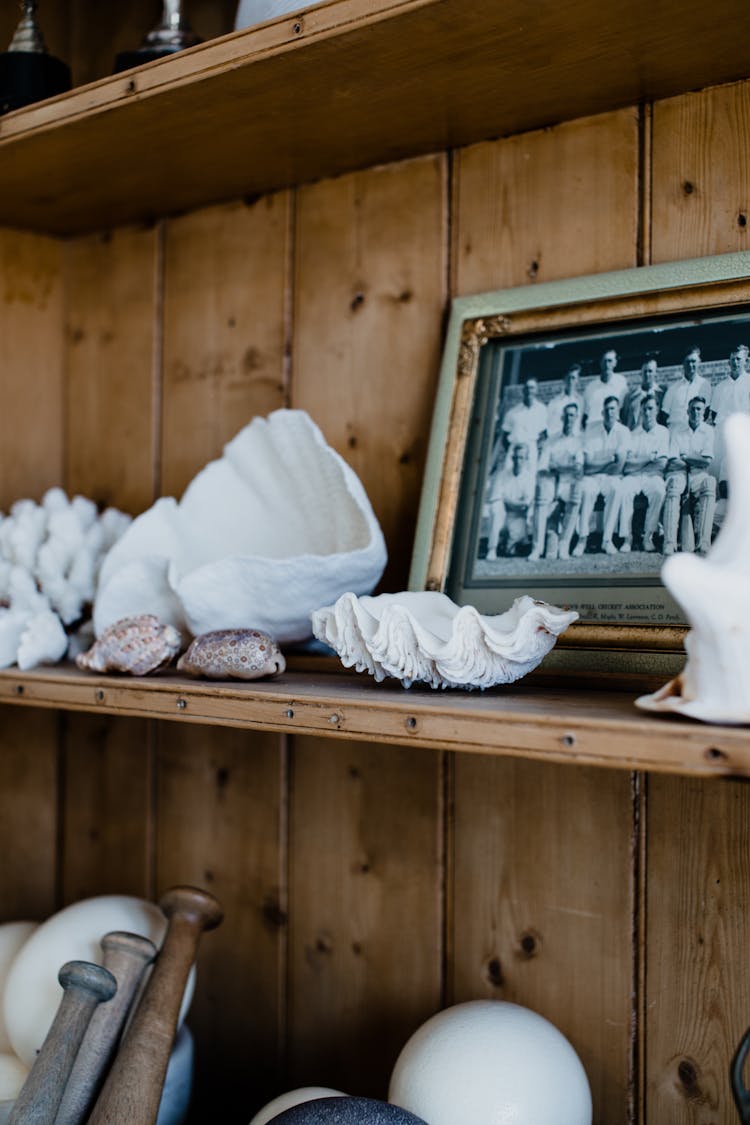 Shelf With Sea Shells And Photo