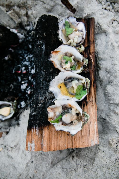 Free Top view of appetizing oysters cooked on fire and lying on burned log while getting cold Stock Photo