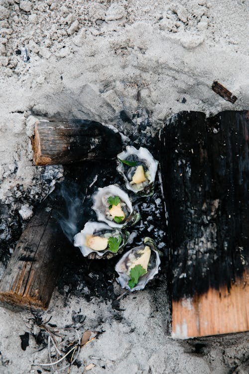 Top view of delectable shellfish cooked on bonfire with charcoal in sand on beach