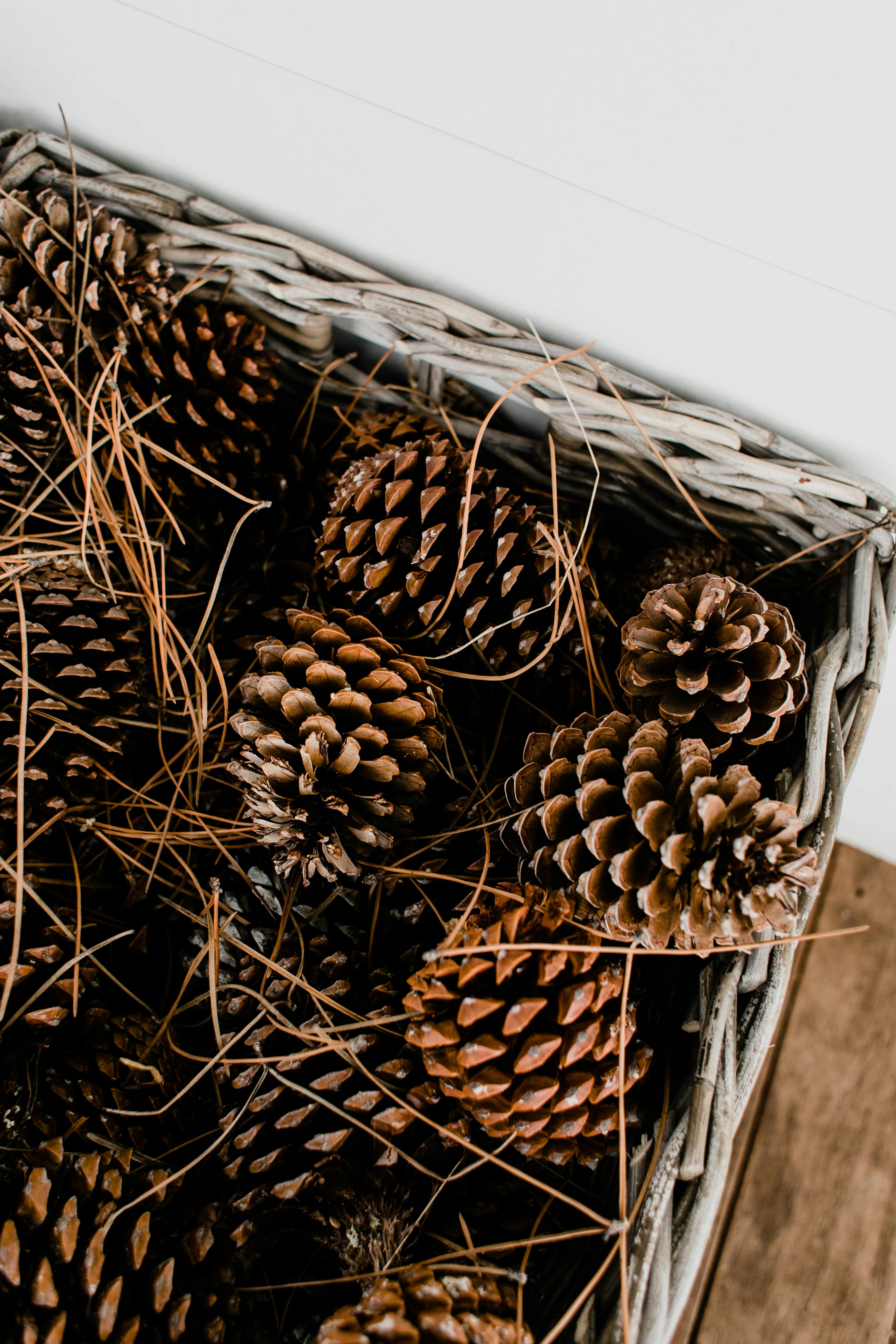 basket full of pine cones