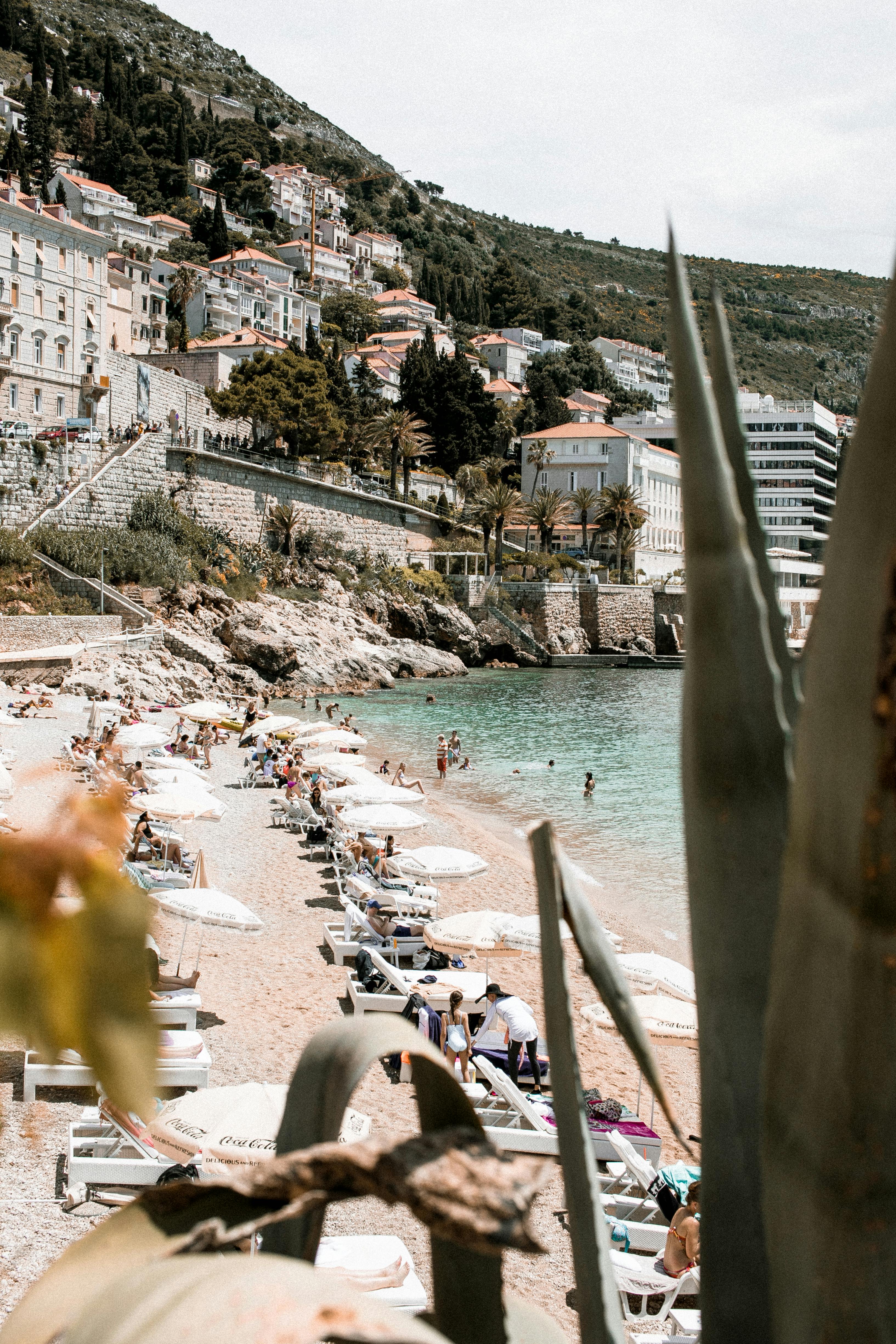 강가, 걱정 없는, 계절의 무료 스톡 사진