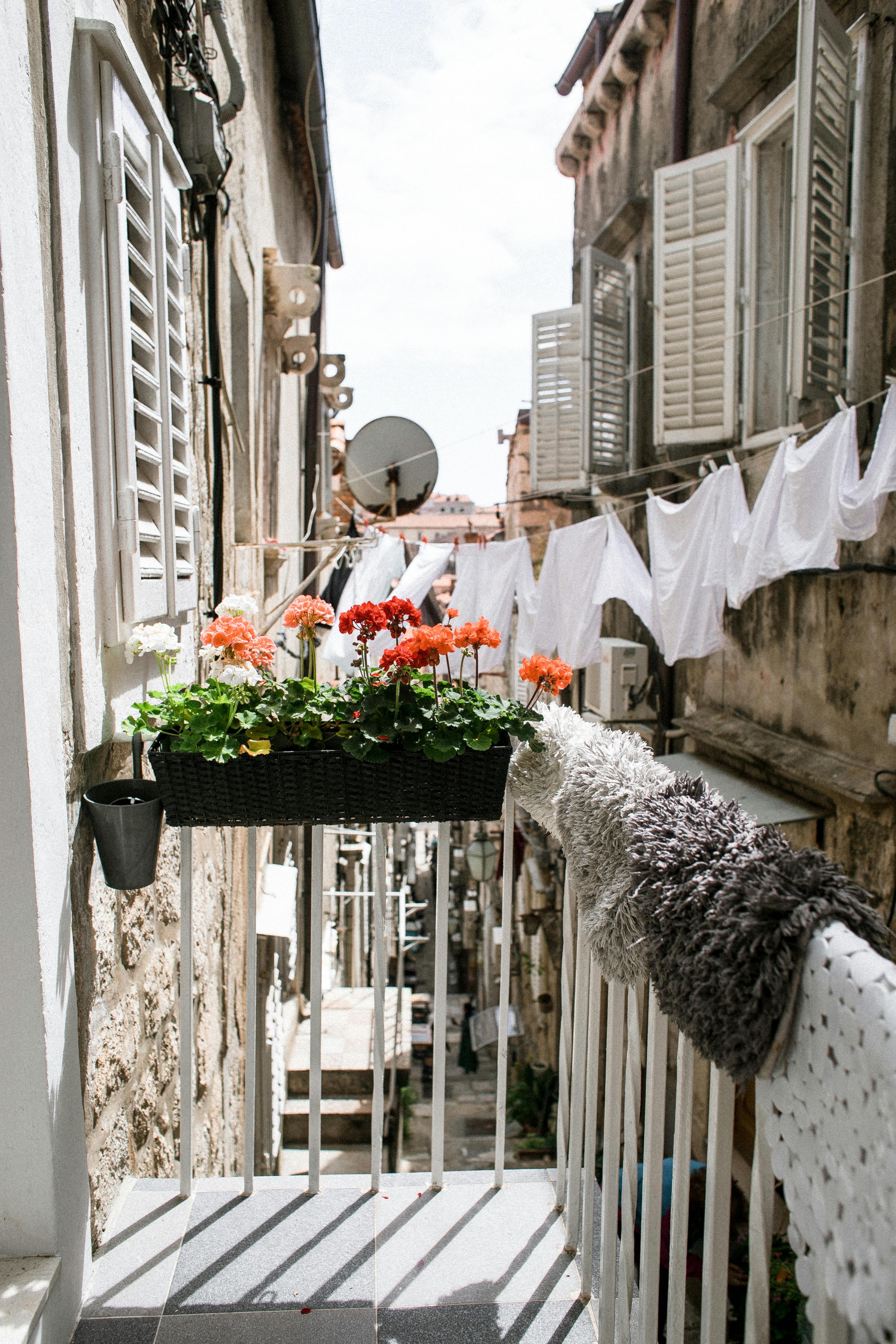 阳光明媚的日子里，阳台上的织物旁，花盆里开着鲜艳的花朵