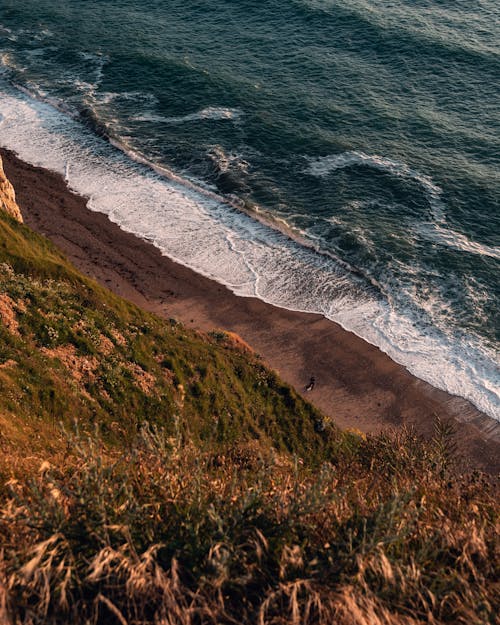 Beach Waves Crashing on Sand