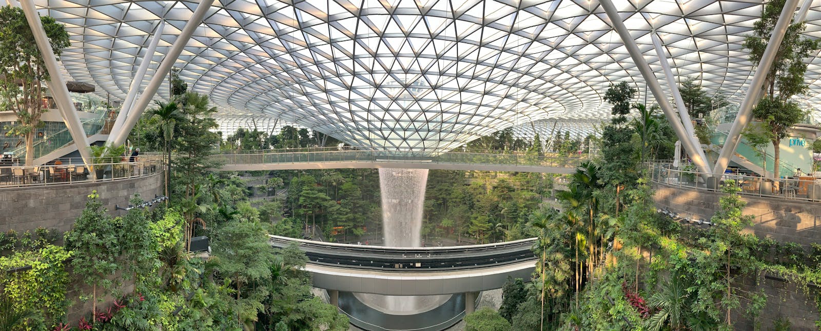 Digital coffee scale under brewing setup