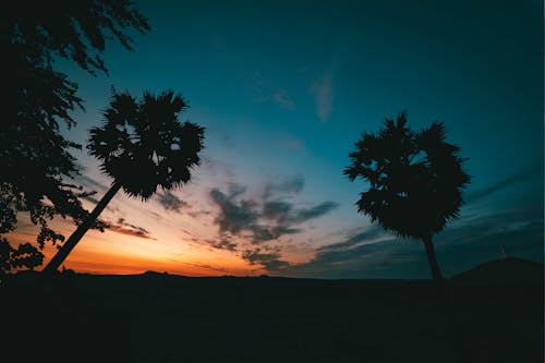 Free stock photo of backlit, beautiful sky, dawn