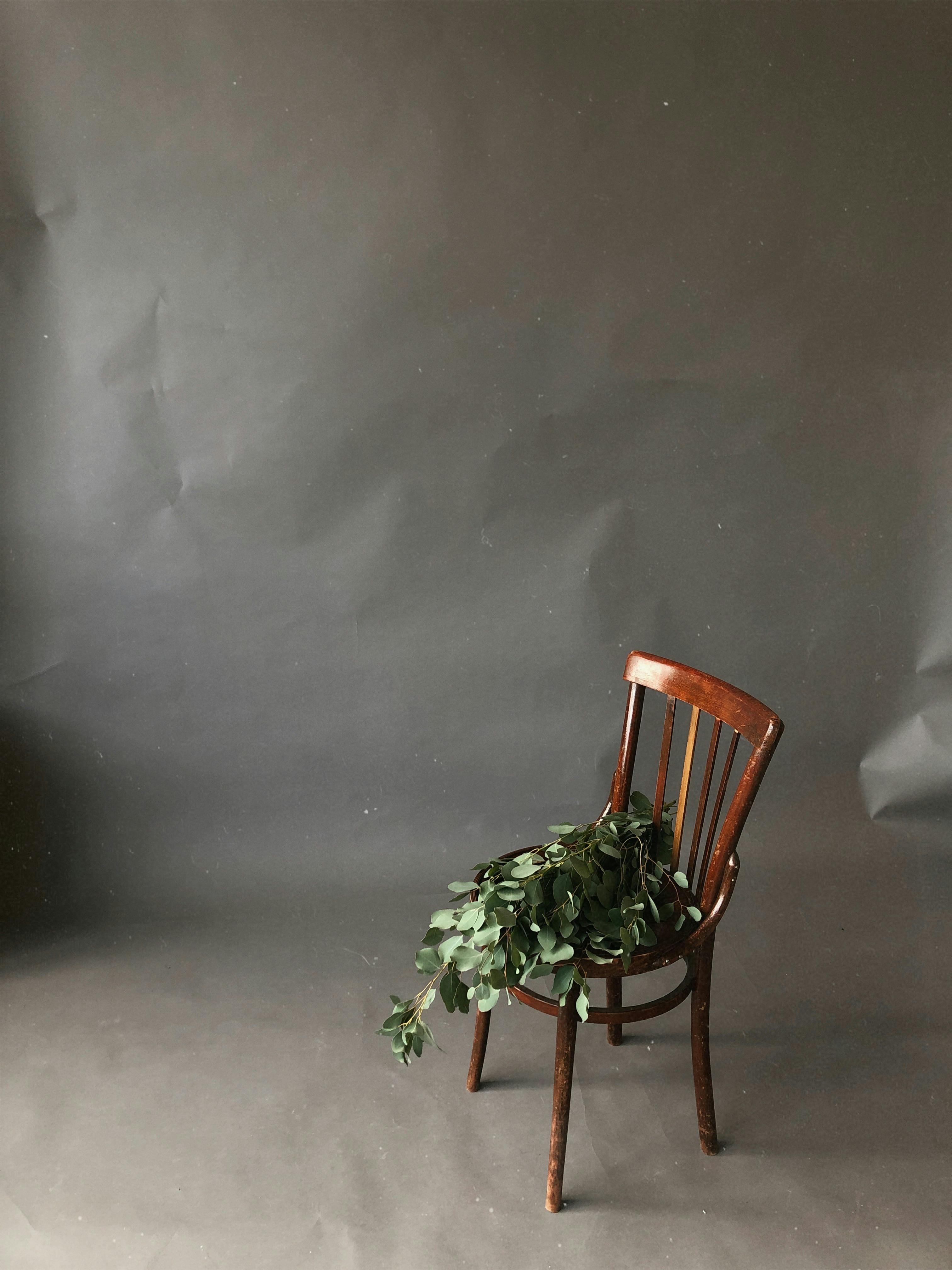 Minimalist photo of eucalyptus leaves on a wooden chair against a grey background.
