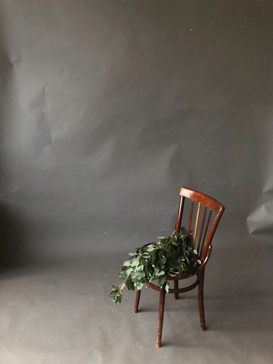 Bentwood chair with eucalyptus stems on a grey paper backdrop — photo by Anastasia Onegina on Pexels