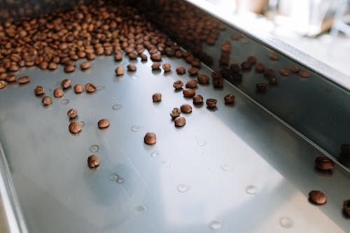 Granos De Café Marrón Sobre Mesa Gris