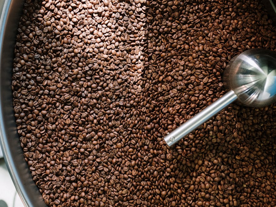 Which beans cause uric acid?
