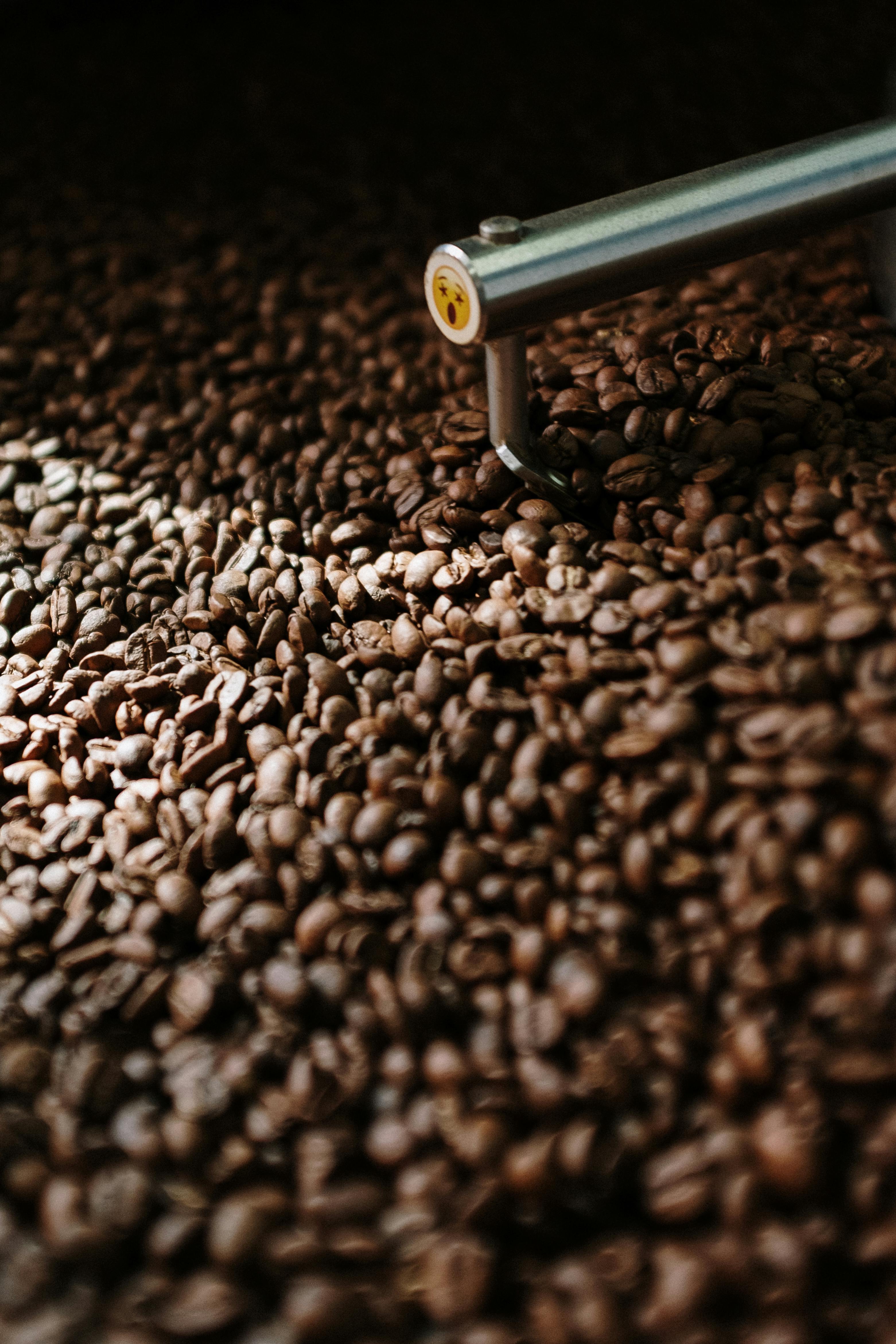 black and brown coffee beans