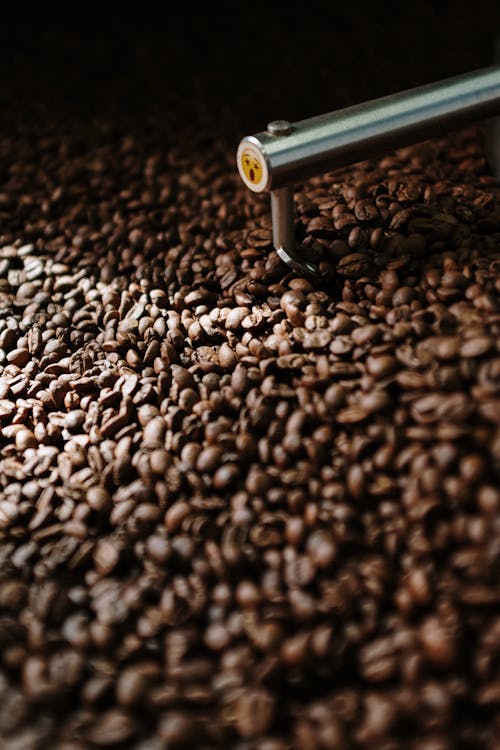 黑色和棕色咖啡豆