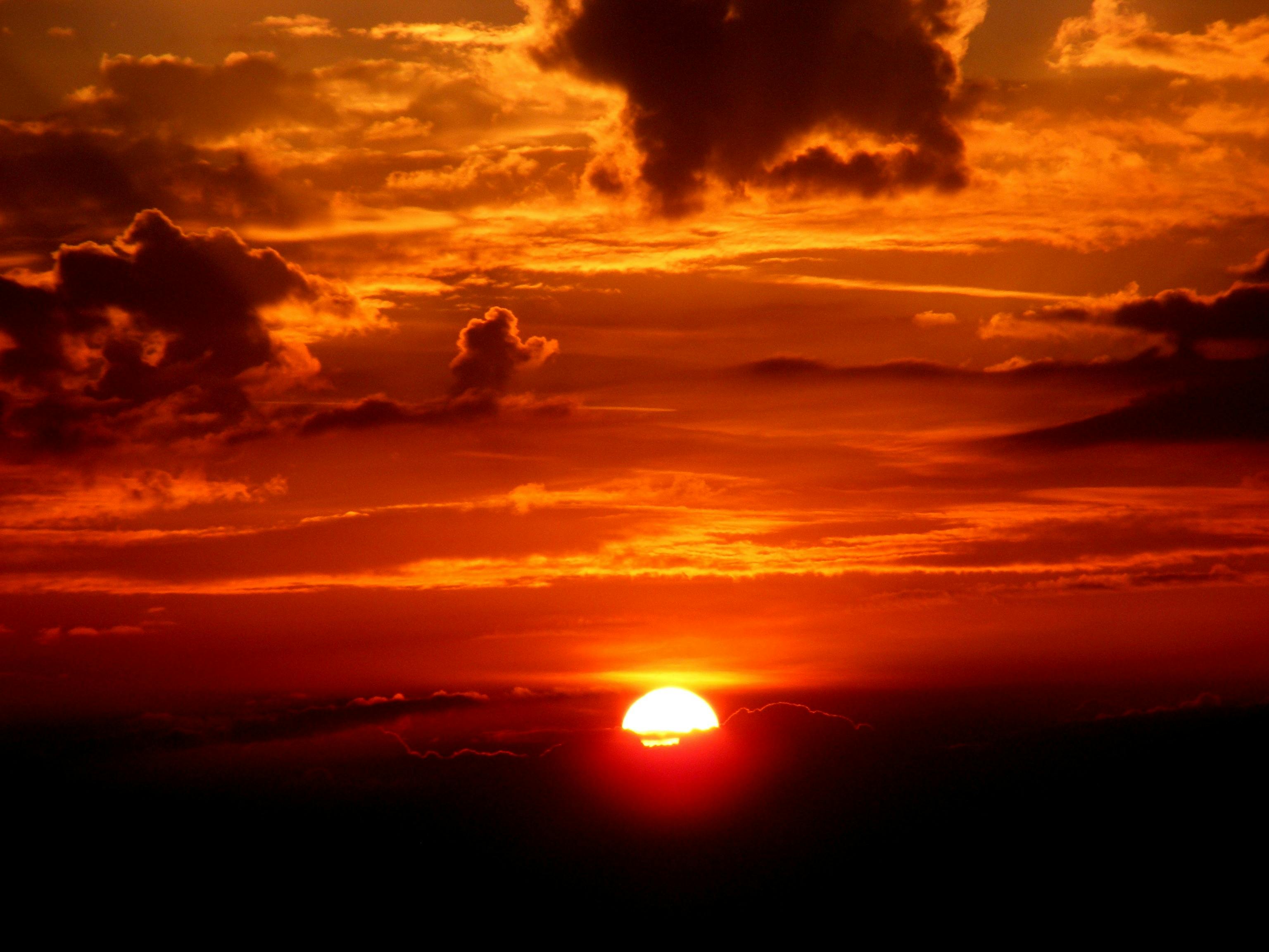 Orange Sun during Sunset · Free Stock Photo