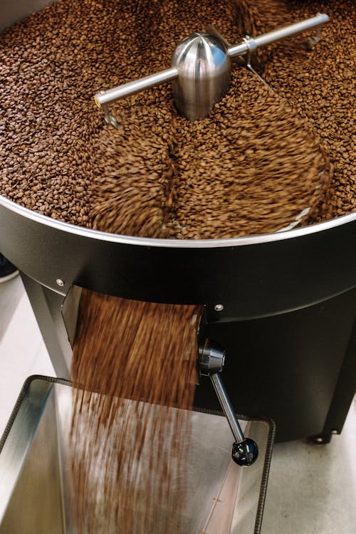 lightly roasted beans being transferred to another container