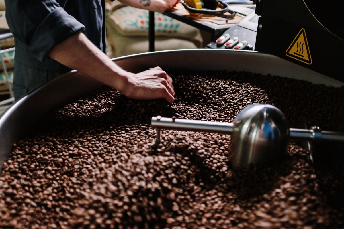Hände prüfen frisch geröstete Kaffeebohnen