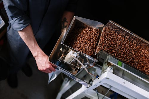 Free Person Holding Brown and Silver Food Tray Stock Photo