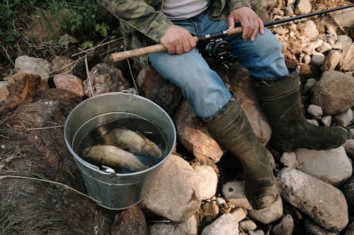 anonim, avcılık, Balık tutmak içeren Ücretsiz stok fotoğraf