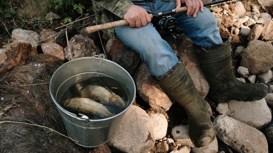 Lake Fishing Tips: Finding Fish and Casting Cleanly