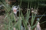 一位头发花白的老人喜欢在宁静的湖边钓鱼，那里被郁郁葱葱的绿色植物包围着