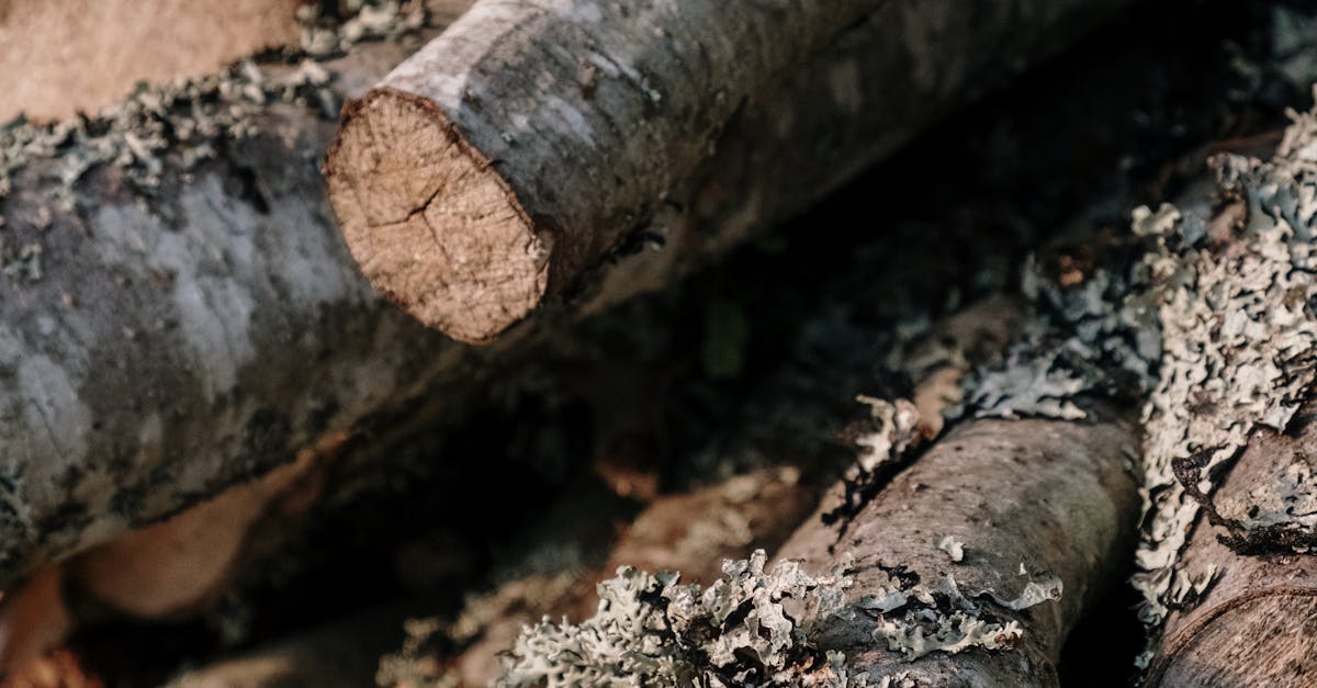 How to bend wood into a circle