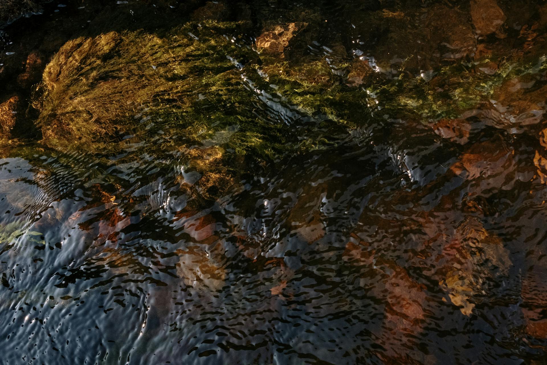 Close-up view of rippling water over stones and moss creating natural patterns and textures.