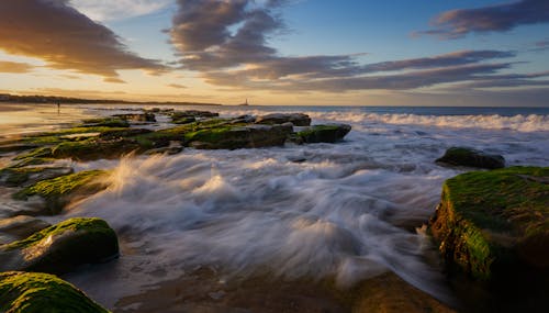 Foto profissional grátis de alvorecer, beira-mar, borrifando