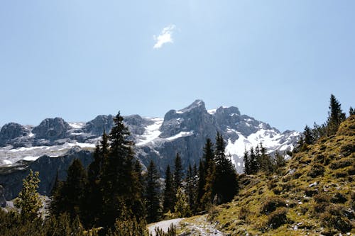 Gratis arkivbilde med blå himmel, fjell, landskap