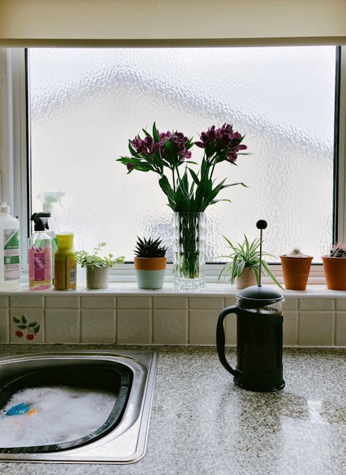 Free Window by Kitchen Sink Decorated with Plants Stock Photo