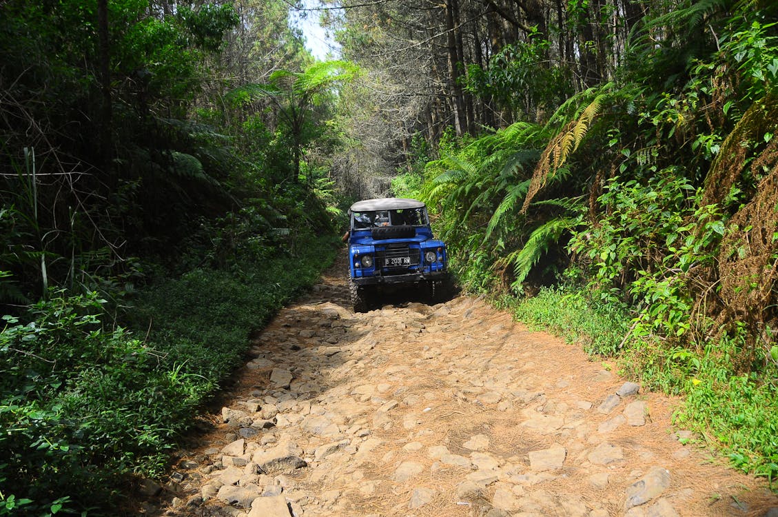 Jeep on Dirt Road in Jungle