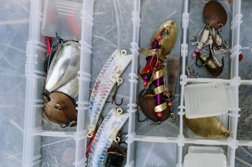 Silver Fish on White Plastic Container