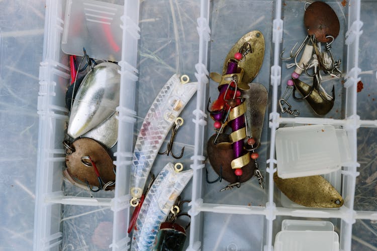 Silver Fish On White Plastic Container