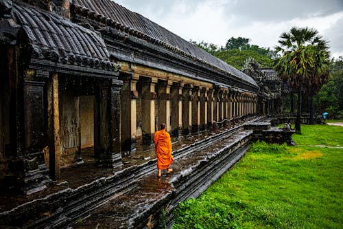 Free Back View of a Monk Walking with Barefoot  Stock Photo