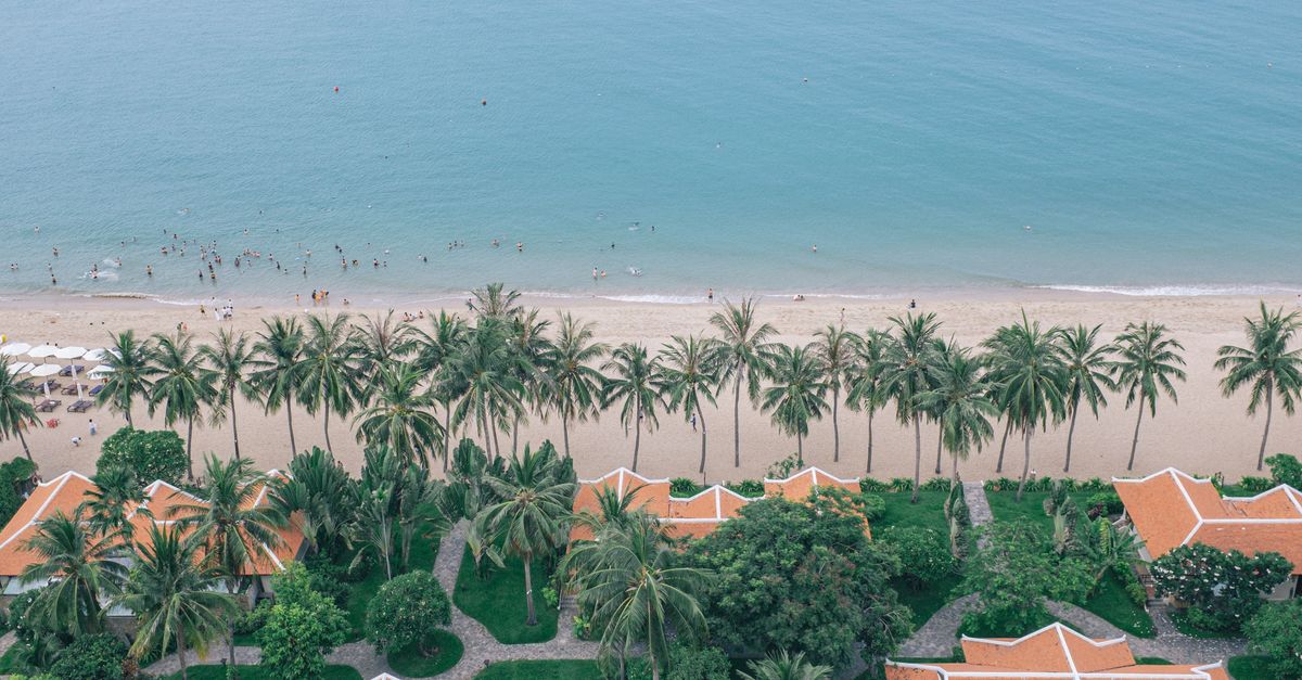 A serene aerial view of a tropical beachfront resort with palm trees and turquoise sea.