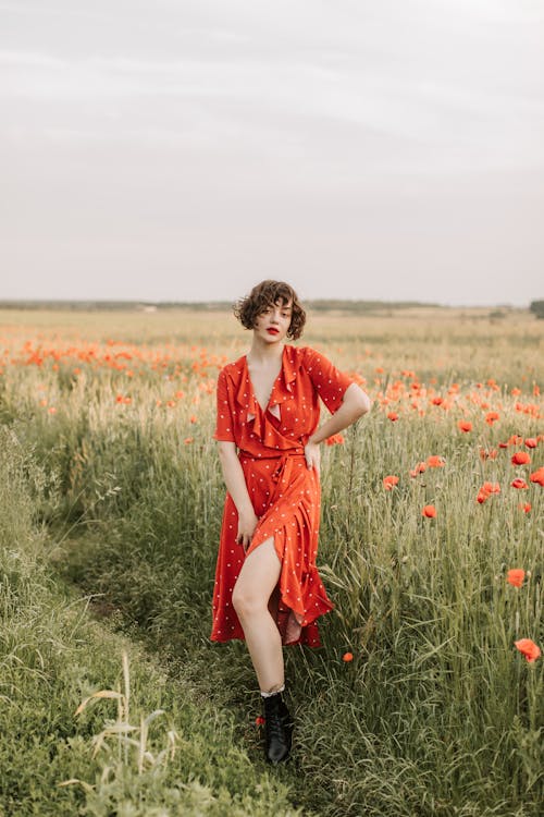 Free A Woman in Red Dress Posing in the Flower Field Stock Photo