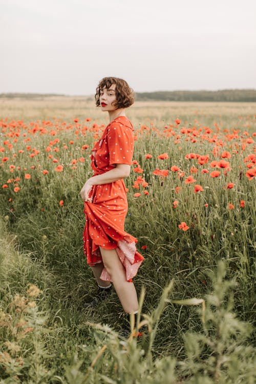 Beautiful Woman Wearing a Red Dress Standing on Poppy Flower Field