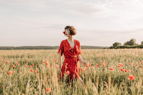 Woman in a Red Dress Standing in The Middle of a Poppy Flower Field