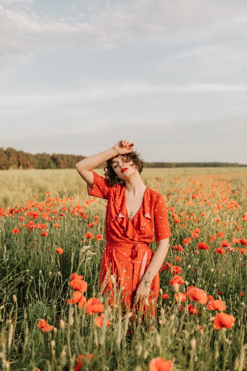 Free Woman in a Red Dress Posing in The Middle of a Flower Field Stock Photo